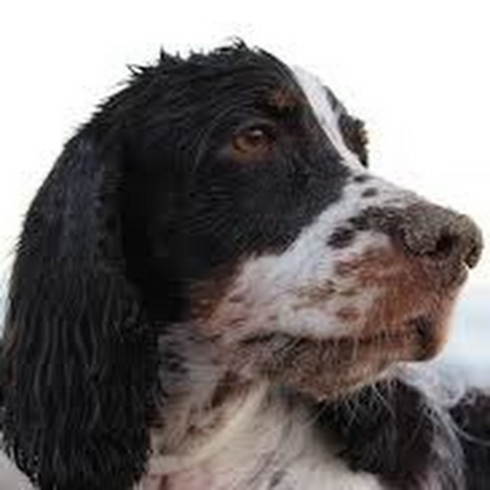 Meet your Posher, Rylie